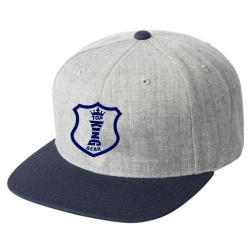 TWILL SNAPBACK HAT:-
